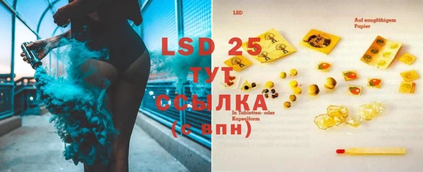 прущая мука Вяземский