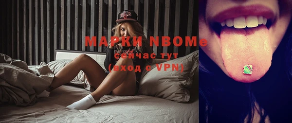 прущая мука Вяземский