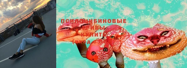прущая мука Вяземский