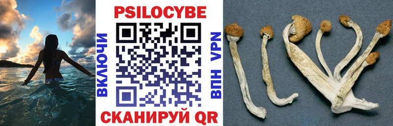 ОМГ ОМГ рабочий сайт  Владимир  Галлюциногенные грибы ЛСД 