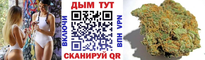 Бошки марихуана план  Владимир 